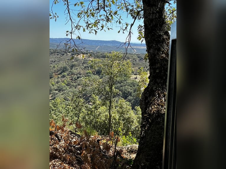 Finca im Gebiet von Gredos in Ensueño
