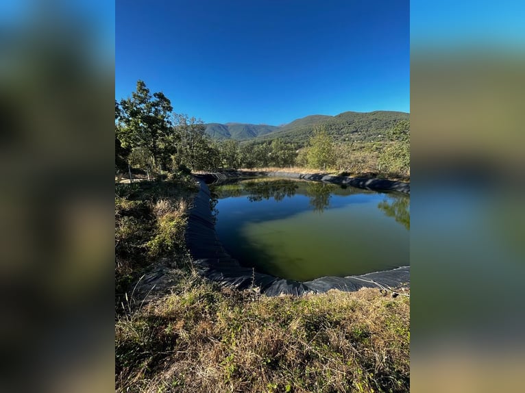 Finca im Gebiet von Gredos in Ensueño