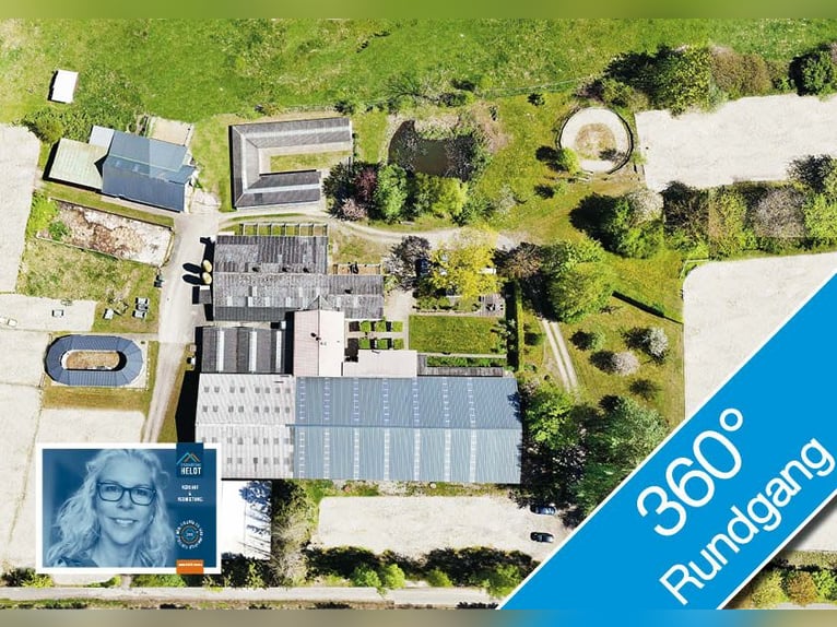 FREI // Reitanlage der kurzen Weg // Kiel, Ostsee // Halle, Führanlage // schnell erreichbar!