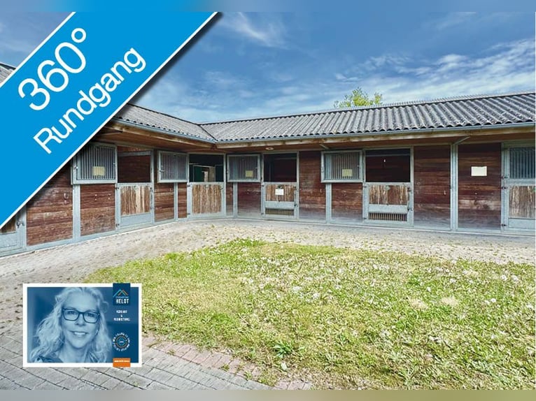 FREI // Reitanlage der kurzen Weg // Kiel, Ostsee // Halle, Führanlage // schnell erreichbar!