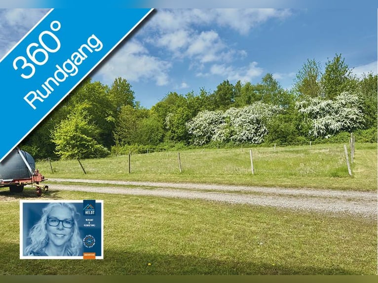 FREI // Reitanlage der kurzen Weg // Kiel, Ostsee // Halle, Führanlage // schnell erreichbar!