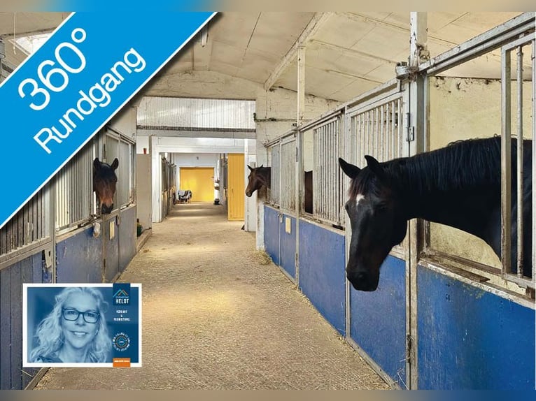 FREI // Reitanlage der kurzen Weg // Kiel, Ostsee // Halle, Führanlage // schnell erreichbar!