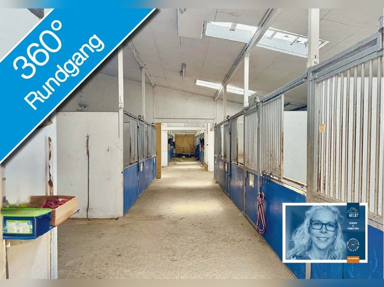 FREI // Reitanlage der kurzen Weg // Kiel, Ostsee // Halle, Führanlage // schnell erreichbar!