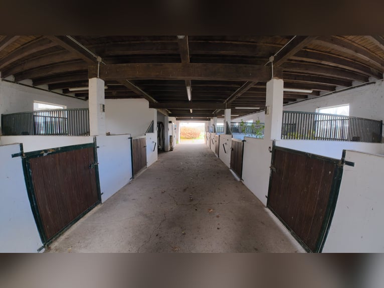 Freiheit auf 17 Hektar: Großzügige Hofanlage in Alleinlage mit Reitplatz, Pool und Ausbaureserve
