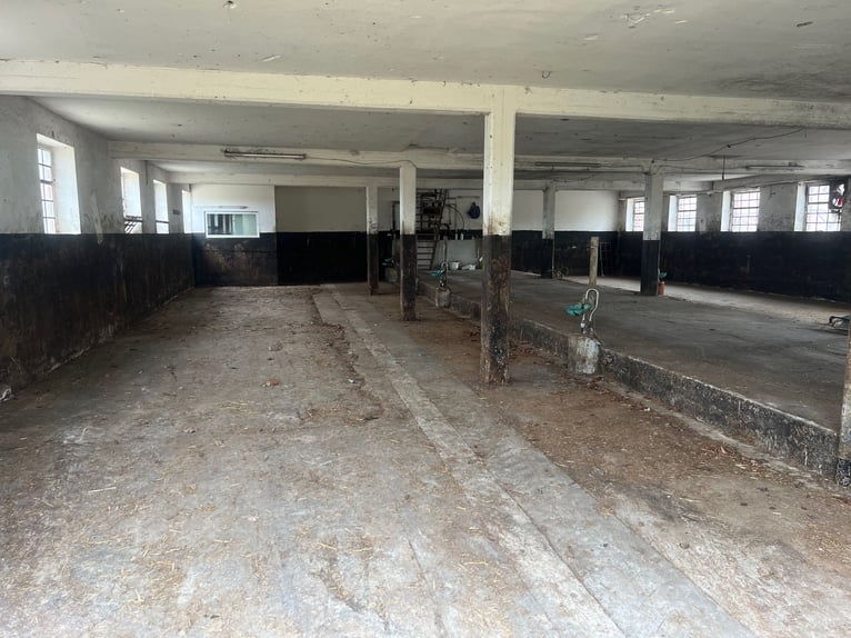 Freistehendes Gutshaus mit hochwertigen Nebengebäuden