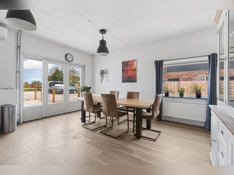 Freistehendes Haus mit großzügigem Wohnbereich und einer hochwertigen, komplett ausgestatteten Pferd