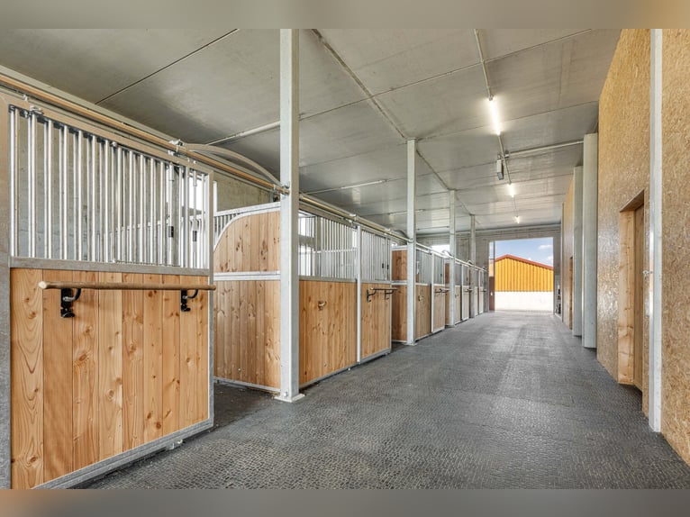 Für Pferdemenschen: Neue Luxus-Reitanlage im Allgäu
