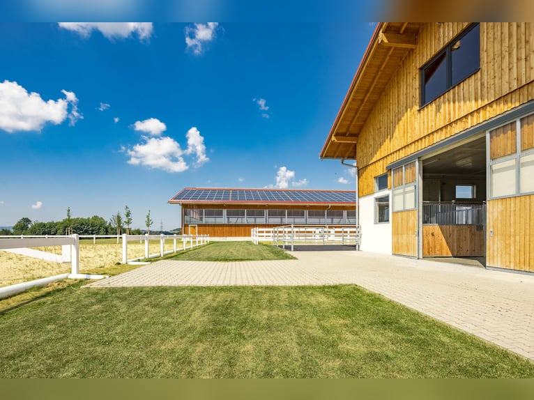 Für Pferdemenschen: Neue Luxus-Reitanlage im Allgäu