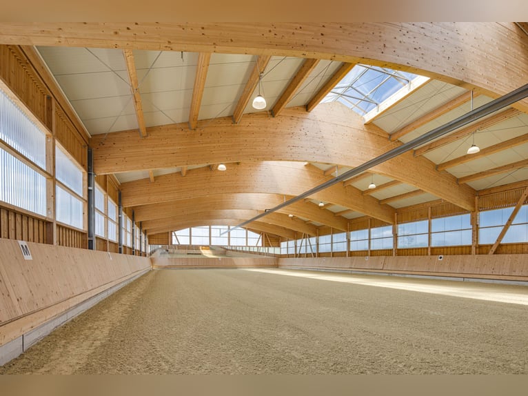 Für Pferdemenschen: Neue Luxus-Reitanlage im Allgäu