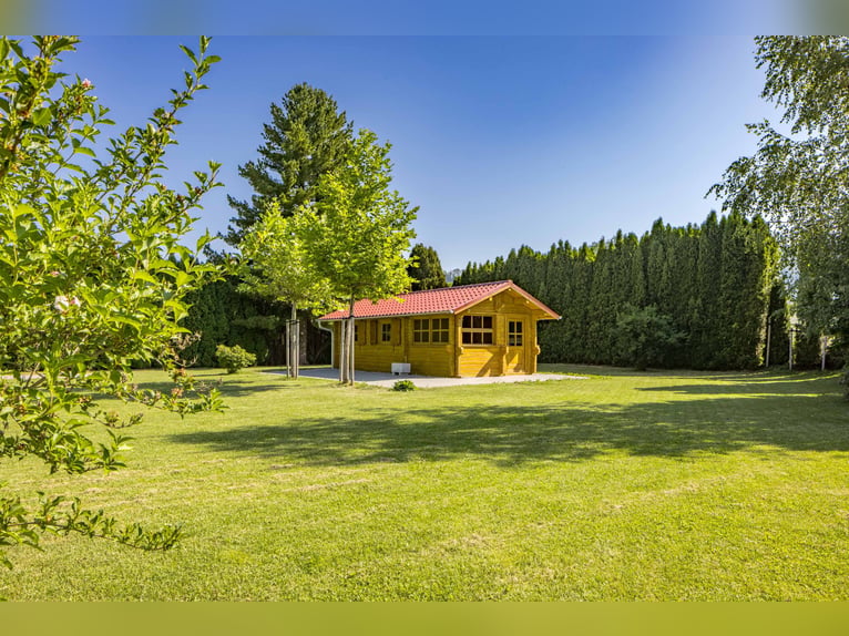 Für Pferdemenschen: Neue Luxus-Reitanlage im Allgäu