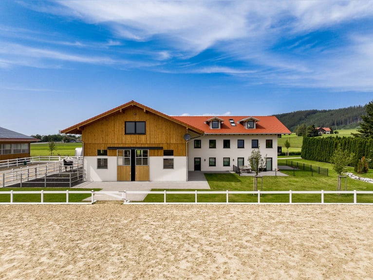 Für Pferdemenschen: Neue Luxus-Reitanlage im Allgäu