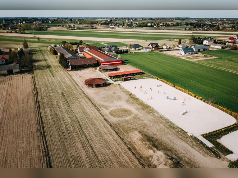 Funktionierende Reitschule in der Nähe von Lublin