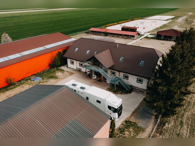 Funktionierende Reitschule in der Nähe von Lublin
