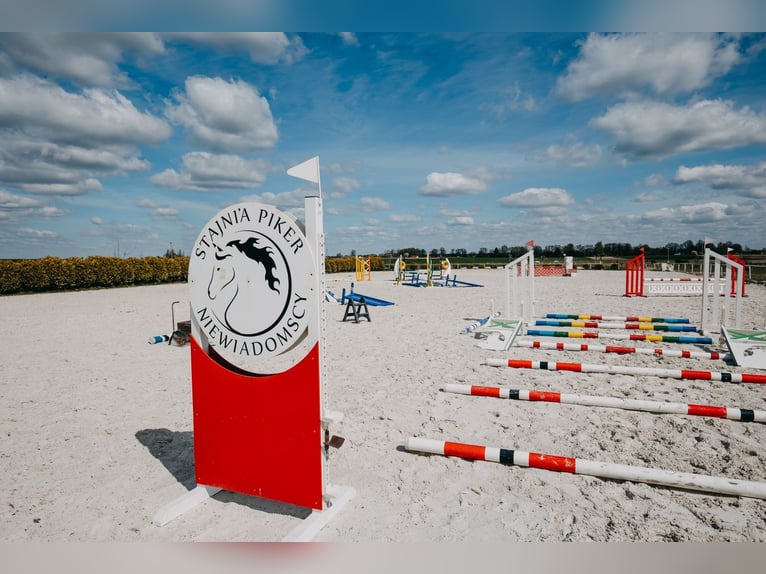 Funktionierende Reitschule in der Nähe von Lublin