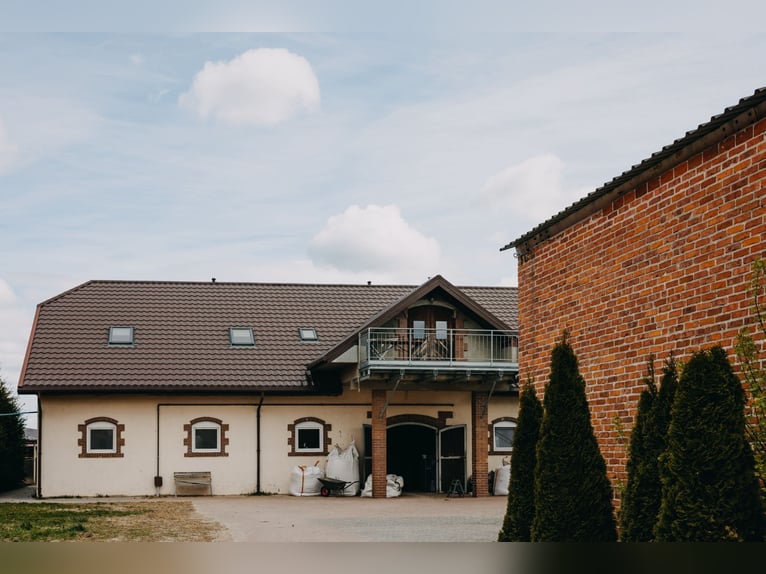 Funktionierende Reitschule in der Nähe von Lublin
