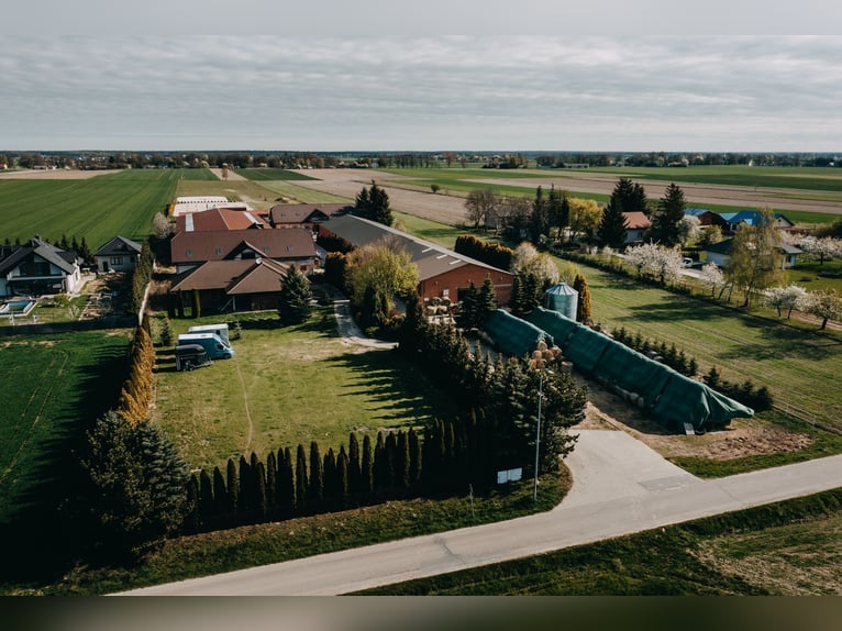 Funktionierende Reitschule in der Nähe von Lublin