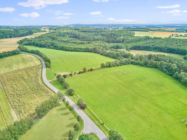 Gehobene Privatpferdehaltung – Idyllische Hofanlage im Zeller Land, oberhalb des Moselortes Zell!