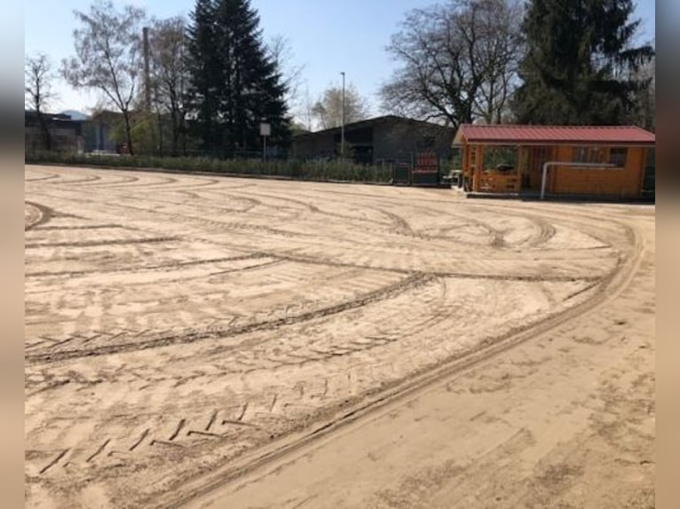 Gepflegte Reitanlage direkt an der Grenze zur Schweiz!