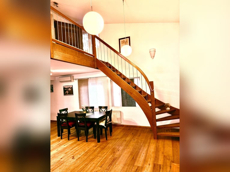 Gepflegte Reitanlage direkt an der Grenze zur Schweiz!