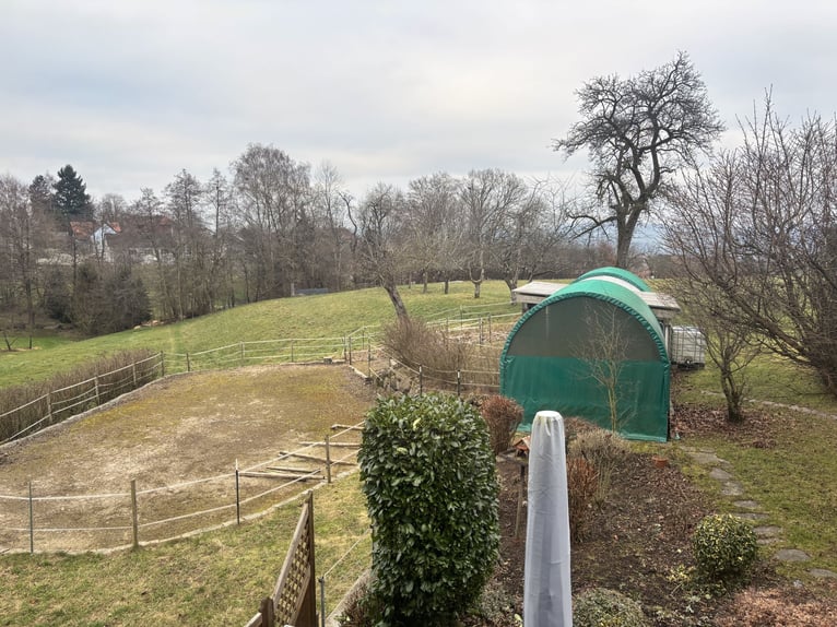Gepflegtes Pferdeanwesen - 5000 qm, Sandplatz und Alpenblick | Nähe CH| grosses Ausbaupotenzial
