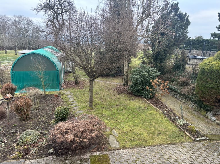 Gepflegtes Pferdeanwesen - 5000 qm, Sandplatz und Alpenblick | Nähe CH| grosses Ausbaupotenzial