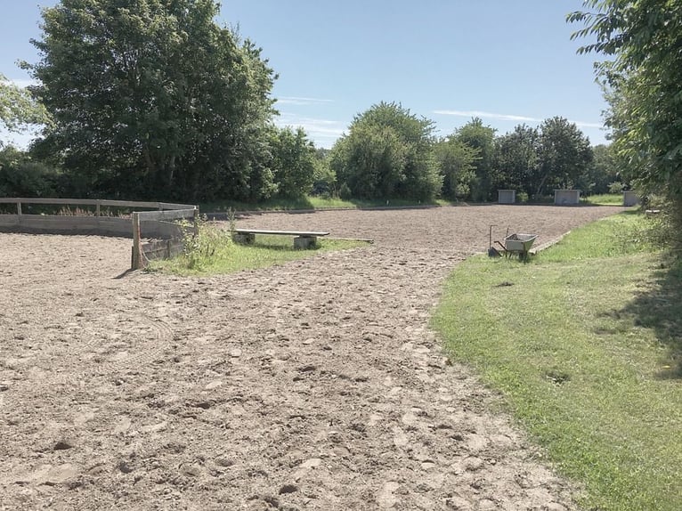 Große Reitanlage bei Kiel mit exzellenter Lage, mehreren Wohnungen und vielfältigen Nutzungsmöglichk