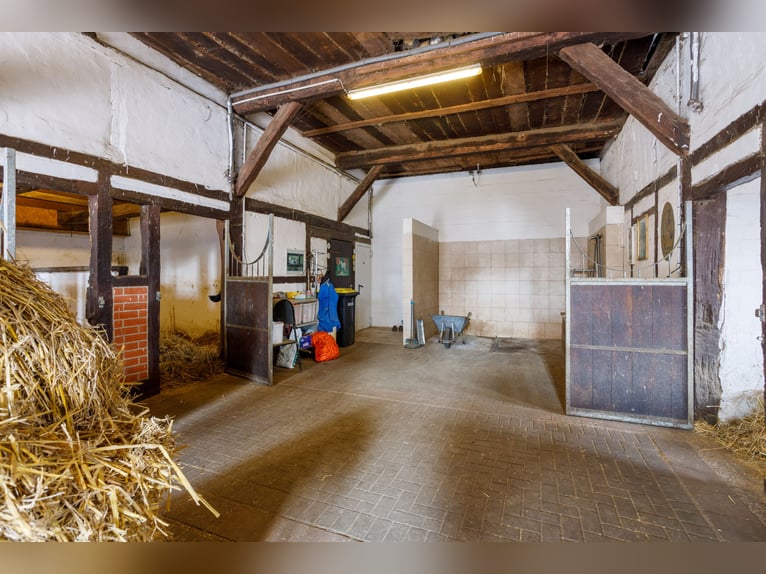 Großzügiges Anwesen mit Pferdehaltung, Ferienwohnung, Bauplätzen und vielfältigem Nutzungskonze