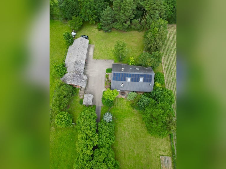 Großzügiges Landhaus mit Pferdehaltung, Reitplatz und traumhaften Parkgarten in Alleinlage