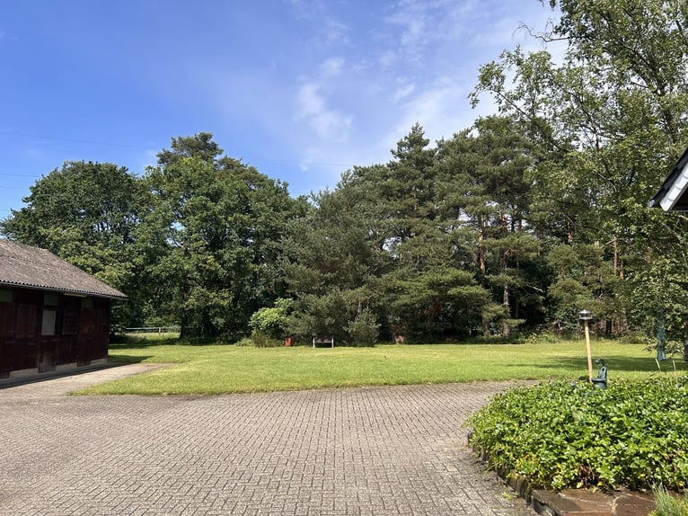 Großzügiges Landhaus mit Pferdehaltung, Reitplatz und traumhaften Parkgarten in Alleinlage