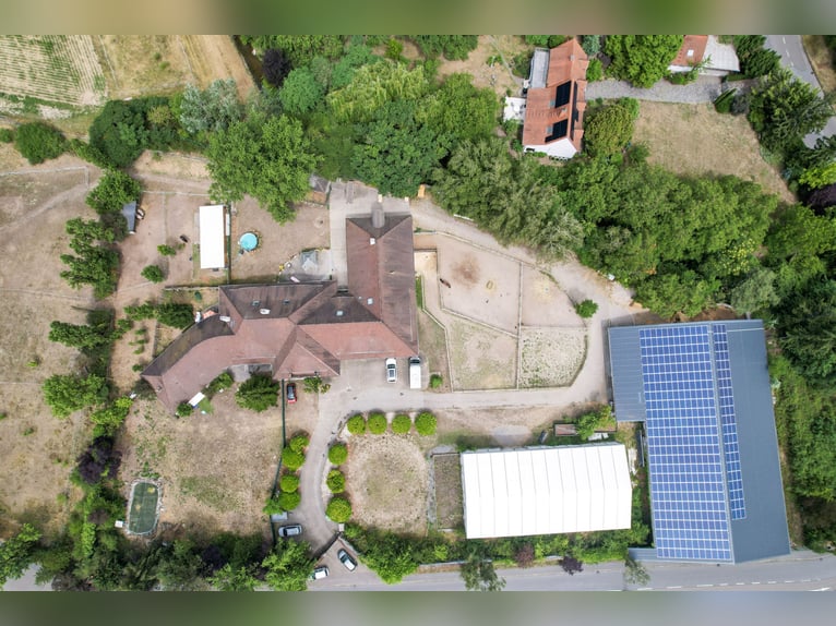 Großzügiges Reitanwesen mit außergewöhnlichem Wohnhaus, fünf Wohneinheiten, Reithalle und vielseitig