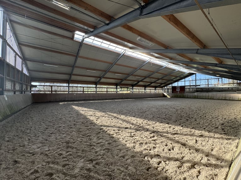 Historischer Vierkanthof mit Reitanlage