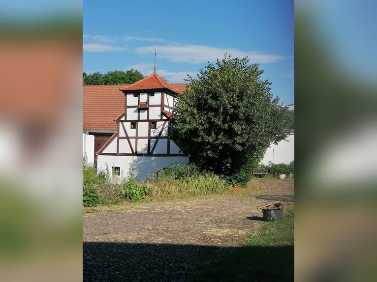 Historischer Vierseitenhof mit Herrenhaus und Potenzial für Pferdehaltung