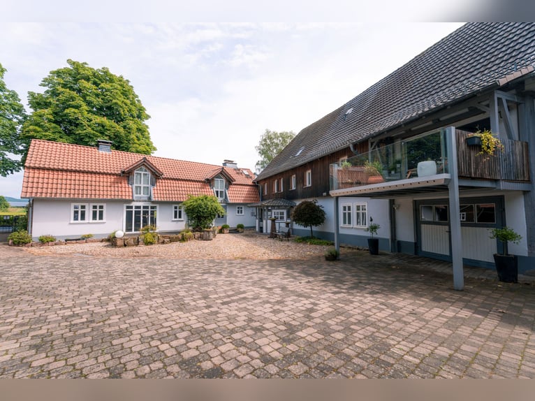 Historisches Mühlenanwesen in Alleinlage mit Pferdehaltung, Wasserkraft und attraktiven Einnahmemögl