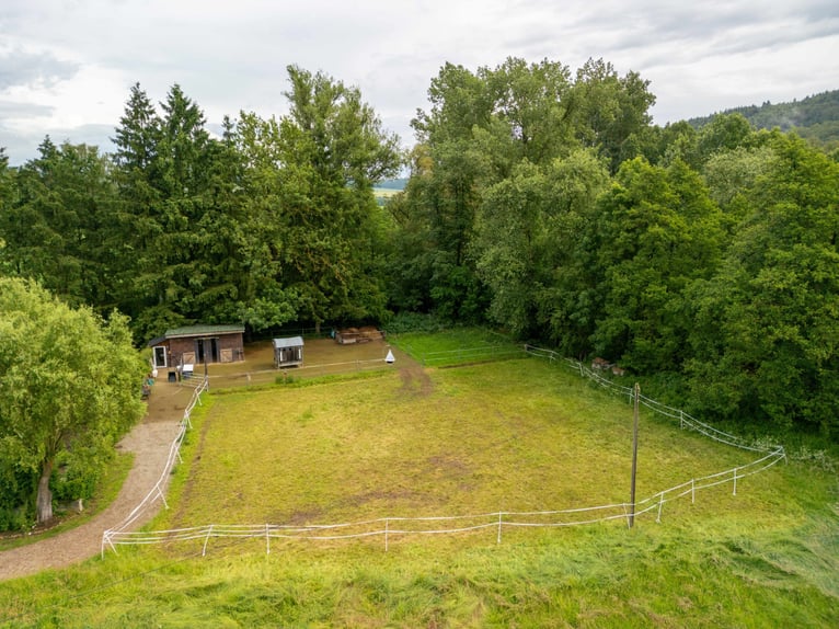 Historisches Mühlenanwesen in Alleinlage mit Pferdehaltung, Wasserkraft und attraktiven Einnahmemögl