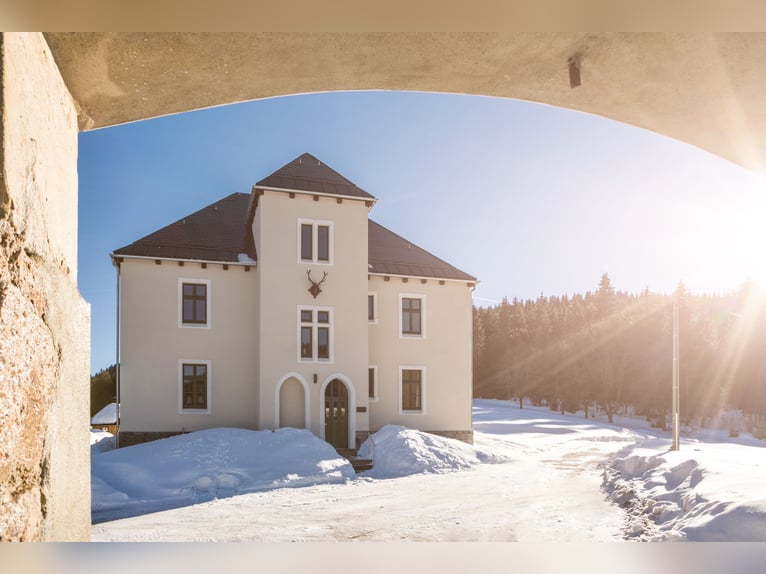 Historisches Villenanwesen im Erzgebirge – Absolute Alleinlage in traumhafter Natur!