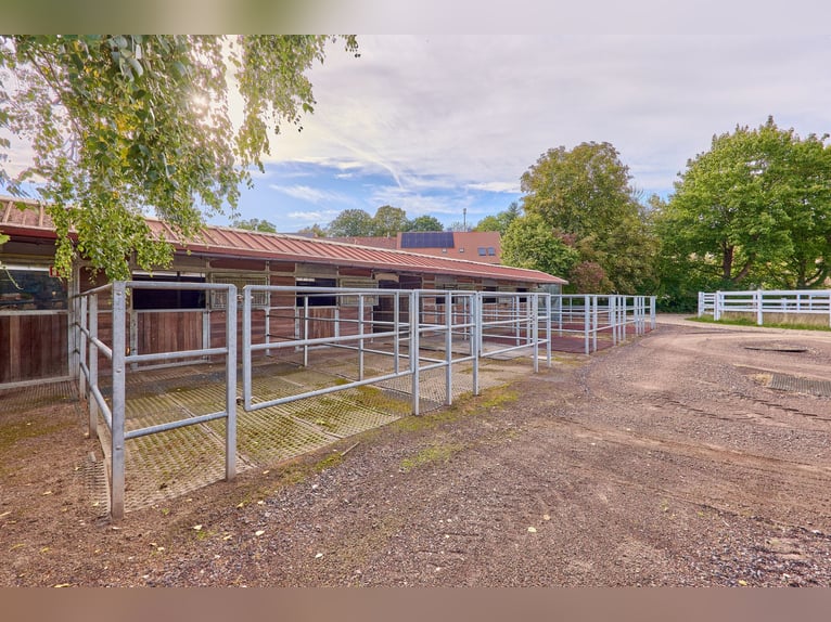 Historisches Wasserschloss mit gepflegter Reitanlage in Rheinhessen!