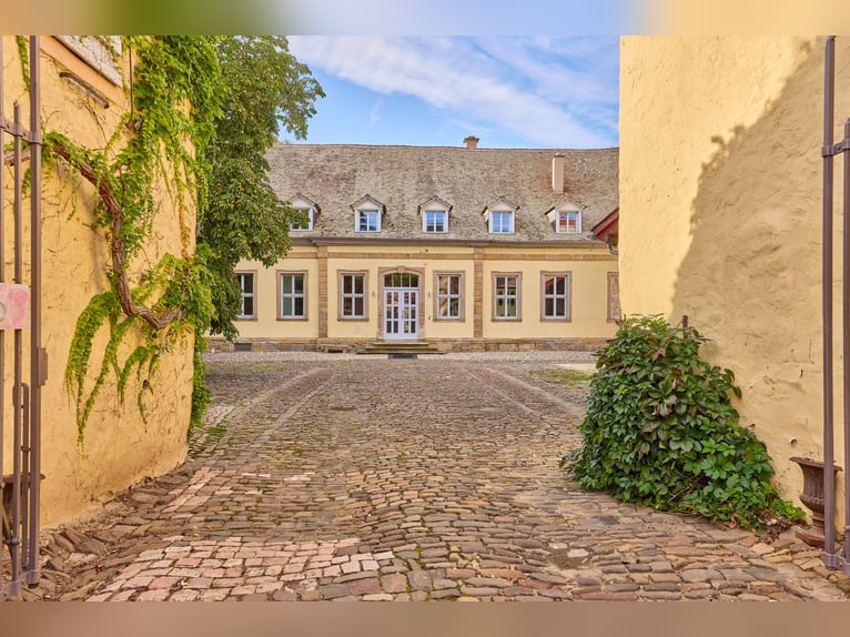 Historisches Wasserschloss mit gepflegter Reitanlage in Rheinhessen!