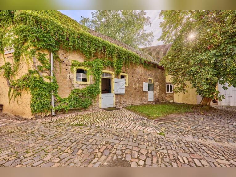 Historisches Wasserschloss mit gepflegter Reitanlage in Rheinhessen!