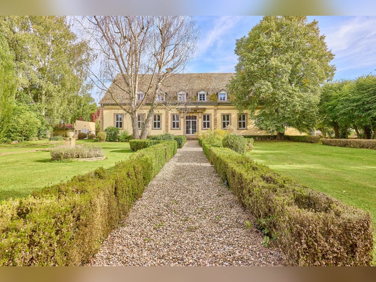 Historisches Wasserschloss mit gepflegter Reitanlage in Rheinhessen!