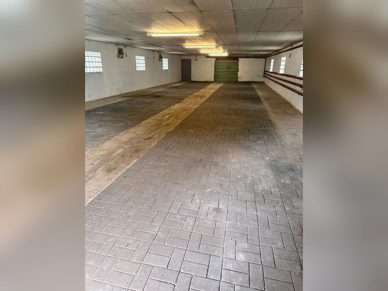 Hof für Pferdeliebhaber mit Wohnhaus in schöner Dorfrandlage