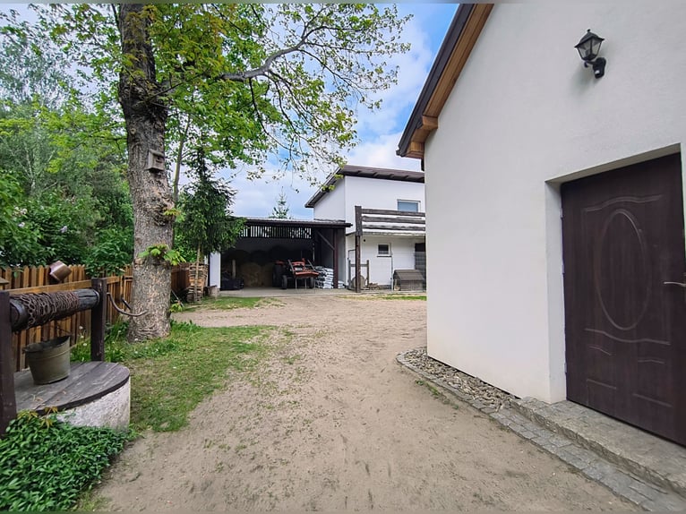 Hof mit Reitstall, Reiterhof, Landhaus auf dem Land