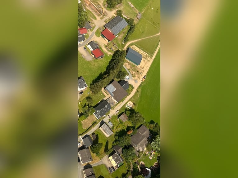 Hofanwesen mit Reithalle, Scheune und 45000 qm Grundstück