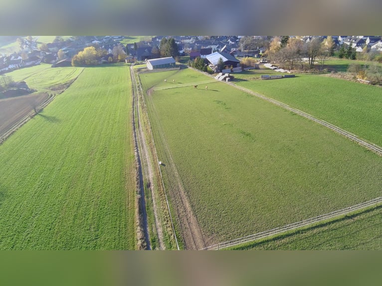 Hofanwesen mit Reithalle, Scheune und 45000 qm Grundstück
