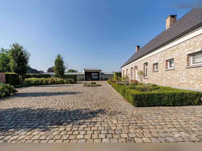 Hoogwaardig afgewerkte villa met stalgebouw en aanpalende weides op ca. 1,7 ha te Herenthout