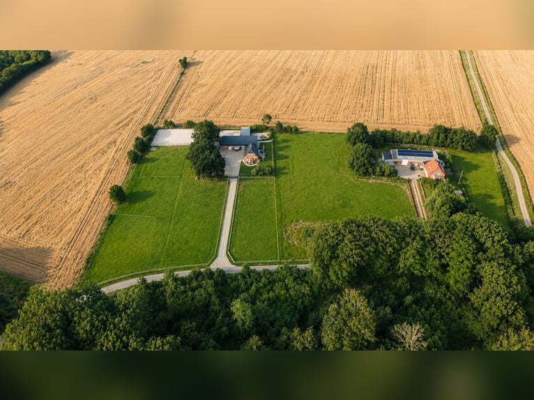 Hyggeliges Landhaus mit hochwertigem Pferdebereich in Sønderjylland in Traumlage