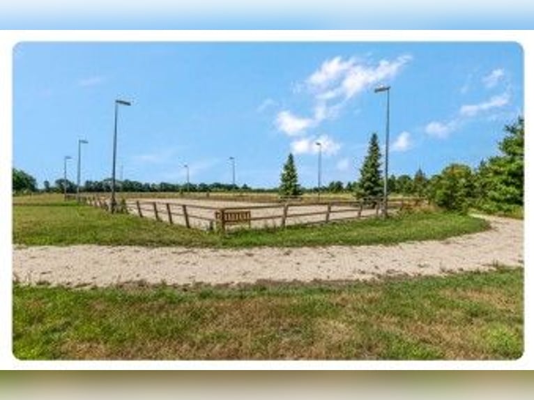 Idyllischer Pferdehof in Kootwijkerbroek, Veluwe, zu verkaufen