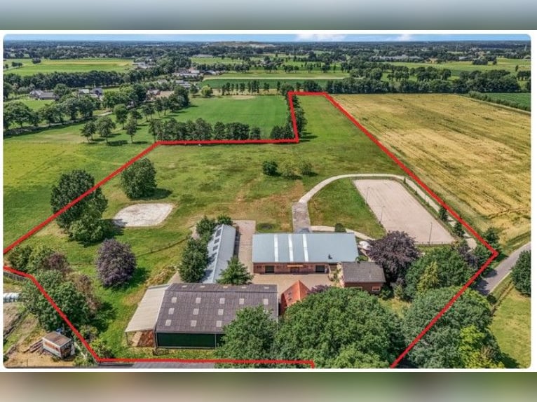 Idyllischer Pferdehof in Kootwijkerbroek, Veluwe, zu verkaufen