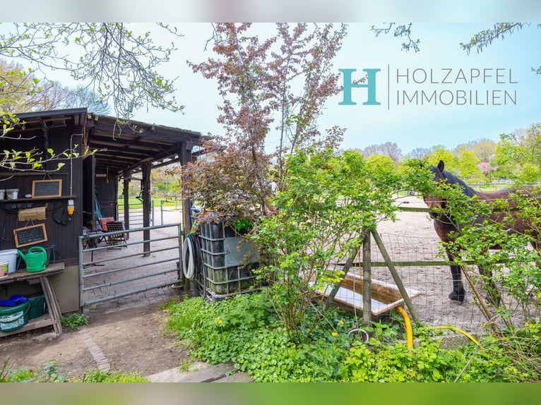 Idyllisches Reetdach-Glück an Hamburger Stadtgrenze mit Pferdekoppeln und Boxen
