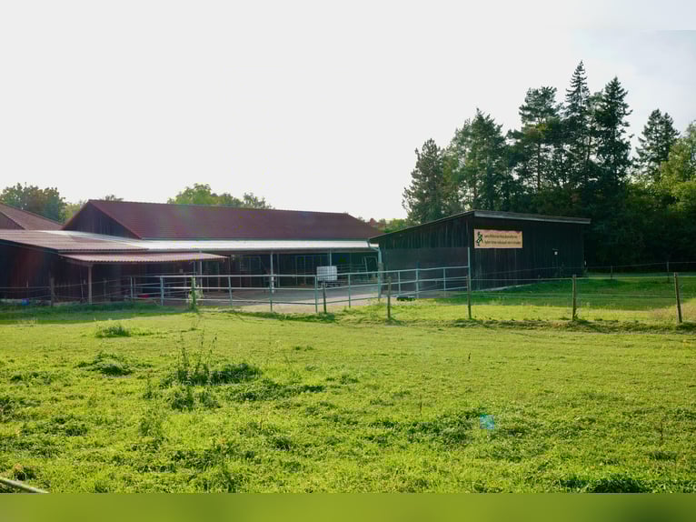 kleine Reitanlage mit laufendem Betrieb sucht neuen Inhaber