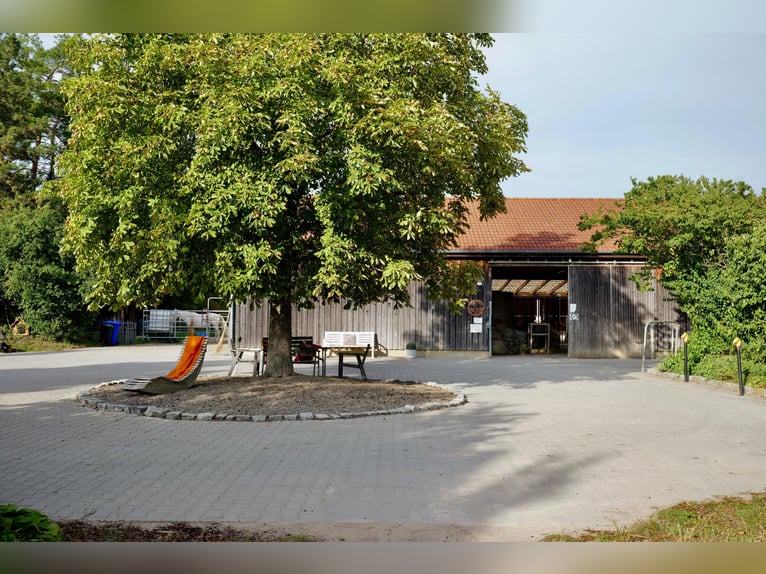 kleine Reitanlage mit neuem Energiesparhaus